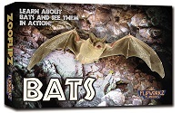 Bats